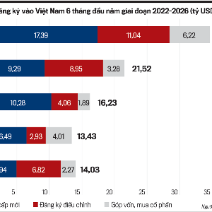 VnEconomy