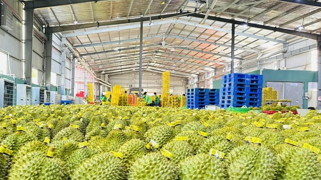 Vietnam's fruit and vegetable exports rise 18% in 6M