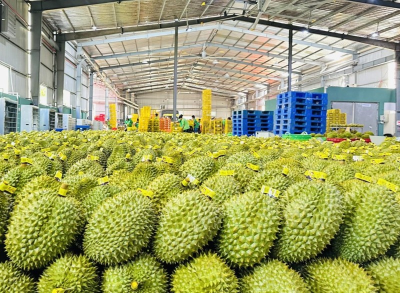 Vietnam's fruit and vegetable exports rise 18% in 6M