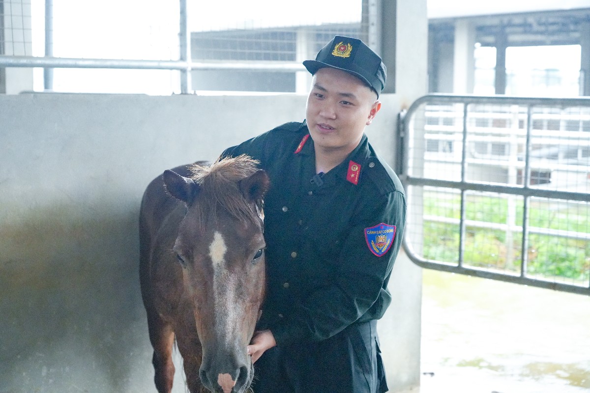 Chú ngựa tên Red và Trung úy Nguyễn Phi Hải, Đội 3, Đoàn CSCĐ Kỵ binh bịn rịn bên nhau trước giờ chia tay. Ảnh: ROX Group.