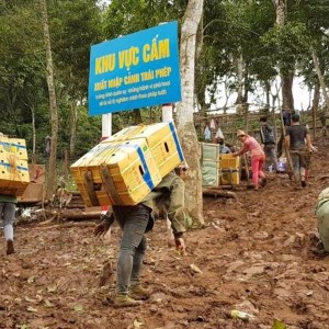 Thu nộp ngân sách từ hàng hóa vi phạm tăng gần 50% so với cùng kỳ