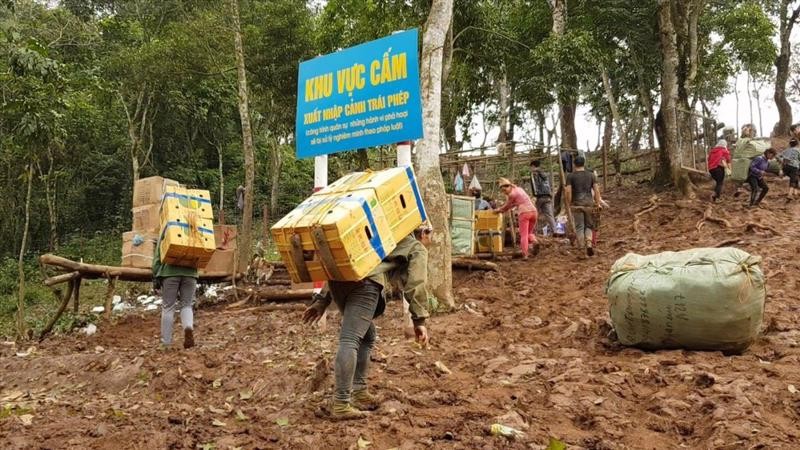 Thu nộp ngân sách từ hàng hóa vi phạm tăng gần 50% so với cùng kỳ