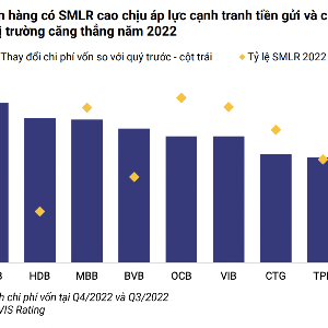 VnEconomy