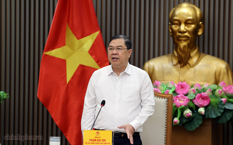 Phó Thủ tướng Thường trực Phạm Gia Túc kết luận cuộc họp - Ảnh: VGP