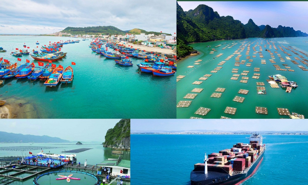 Hoàn thiện quy định quản lý, sử dụng không gian biển, hải đảo