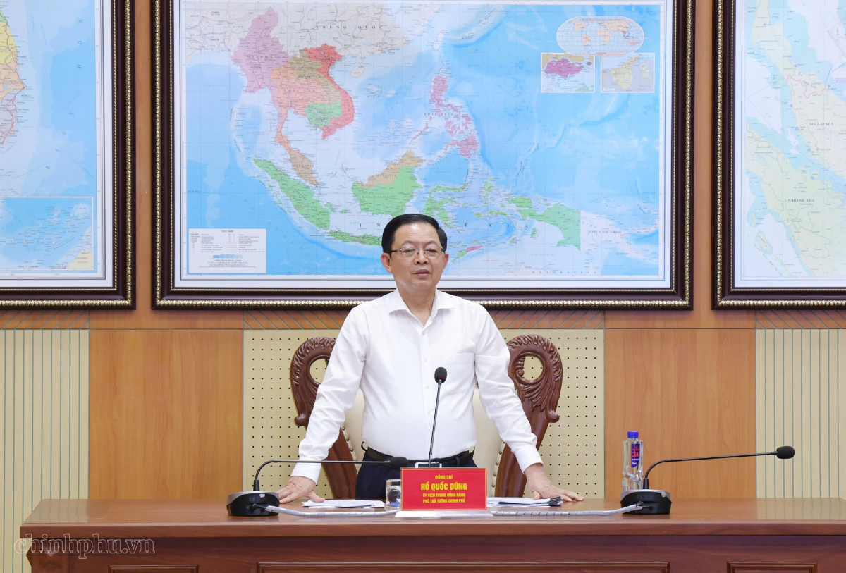 Phó Thủ tướng phát biểu chỉ đạo tại cuộc họp. Ảnh VPG.