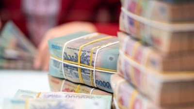 Corporate borrowing becomes main driver of Vietnam's credit growth
