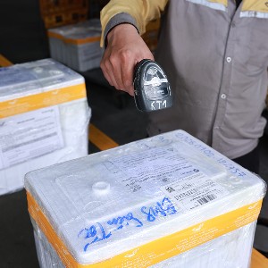 Toàn bộ các thùng mẫu sinh phẩm ADN được ưu tiên xử lý chuyển phát nhanh. Ảnh: Bưu điện Việt Nam.