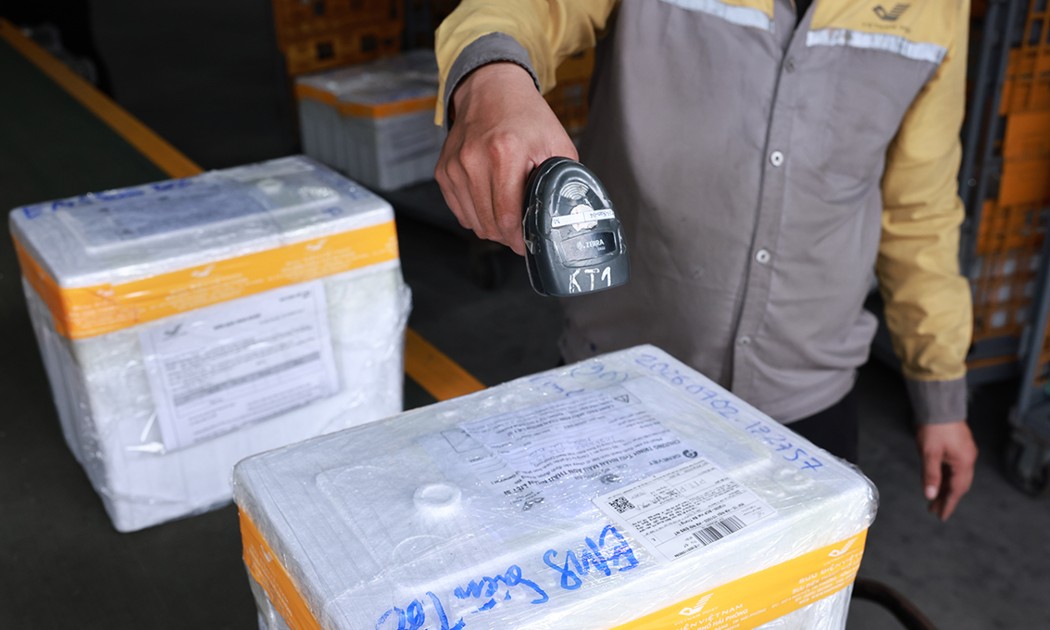 Toàn bộ các thùng mẫu sinh phẩm ADN được ưu tiên xử lý chuyển phát nhanh. Ảnh: Bưu điện Việt Nam.