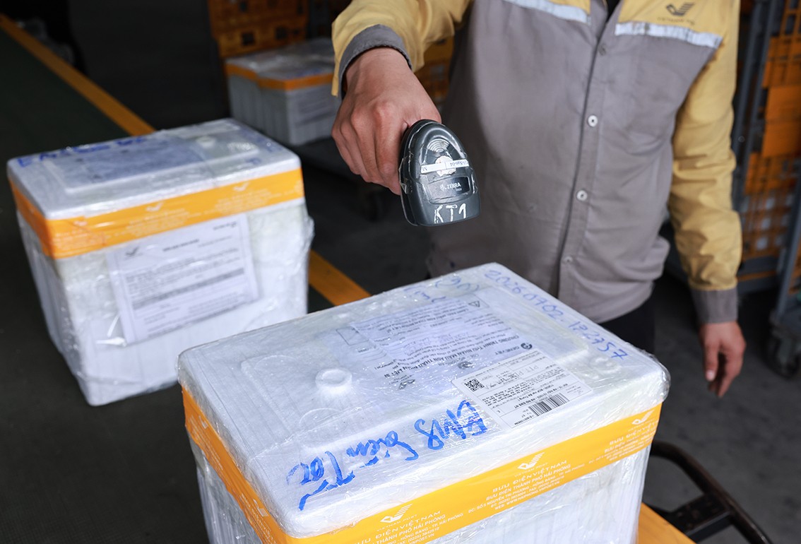 Toàn bộ các thùng mẫu sinh phẩm ADN được ưu tiên xử lý chuyển phát nhanh. Ảnh: Bưu điện Việt Nam.