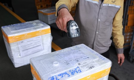 Toàn bộ các thùng mẫu sinh phẩm ADN được ưu tiên xử lý chuyển phát nhanh. Ảnh: Bưu điện Việt Nam.