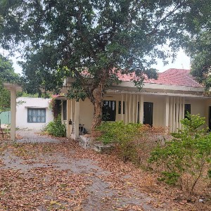 Quy chế phối hợp trong việc xác lập sở hữu toàn dân đối với nhà, đất và chuyển giao cho địa phương quản lý trên địa bàn TP.Hồ Chí Minh được kỳ vọng sẽ thống nhất quy trình xử lý giữa các cơ quan, rút ngắn thời gian giải quyết hồ sơ, nâng cao hiệu quả quản lý tài sản công. Ảnh mang tính minh họa