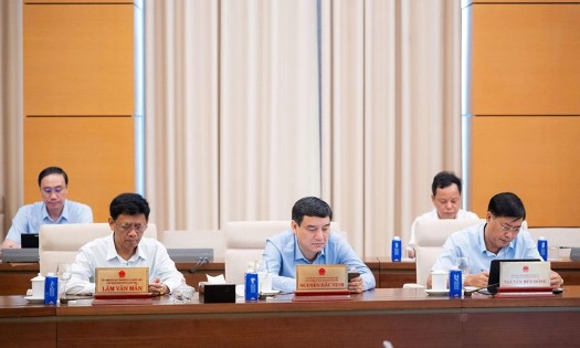 Các đại biểu tham dự Phiên họp. Ảnh: Quốc hội.