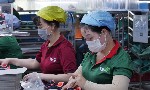 Bắc Âu siết chặt kiểm soát PFAS, dệt may và da giày Việt Nam cấp bách chuyển đổi để thích ứng