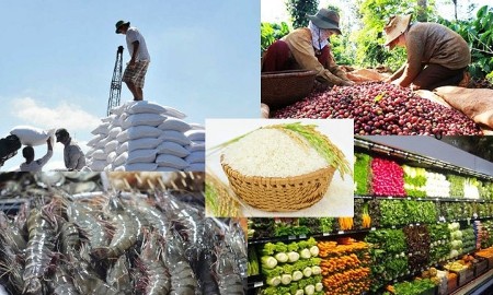 Vượt thách thức bằng tư duy kinh tế để đạt 100 tỷ USD xuất khẩu nông sản