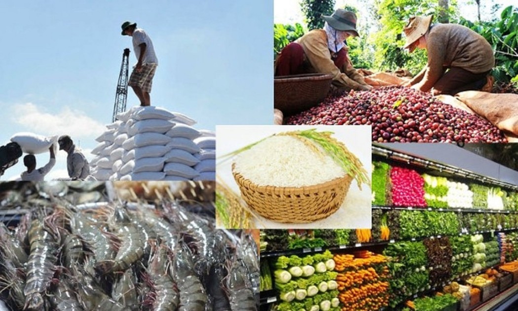 Tốc độ tăng trưởng xuất khẩu nông, lâm, thủy sản đang có dấu hiệu chậm lại. Ảnh minh họa.