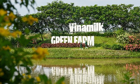 Vinamilk tiếp tục mang về nguồn thu lớn cho SCIC, giá trị đầu tư tăng gần 71 lần sau cổ phần hóa