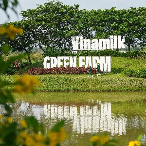 Trang trại Vinamilk Green Farm Tây Ninh 2. Ảnh: Vinamilk.