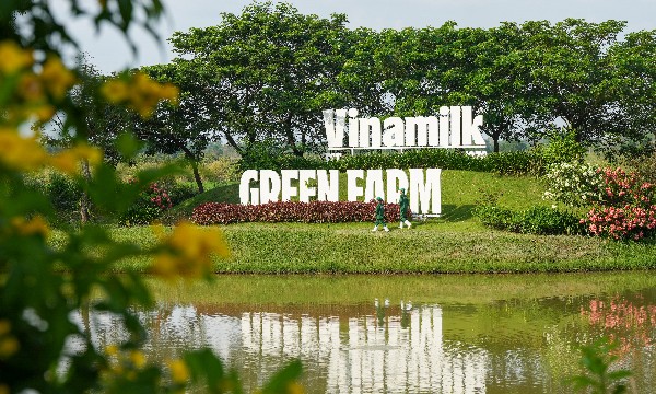 Vinamilk tiếp tục mang về nguồn thu lớn cho SCIC, giá trị đầu tư tăng gần 71 lần sau cổ phần hóa