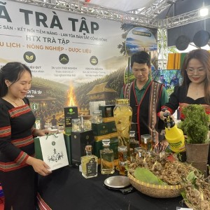 Người dân xã Trà Tập đưa sản phẩm sâm Ngọc Linh trồng tại địa phương đến giới thiệu tại chương trình. Ảnh Ngô Anh Văn