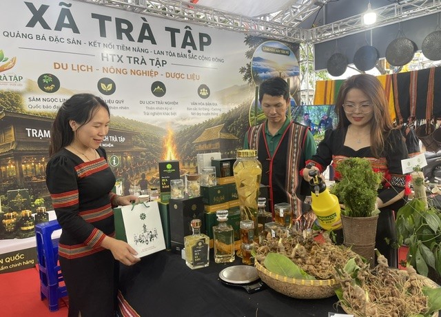 Người dân xã Trà Tập đưa sản phẩm sâm Ngọc Linh trồng tại địa phương đến giới thiệu tại chương trình. 
Ảnh Ngô Anh Văn