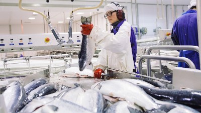 Vietnam, EFTA conclude free trade agreement negotiations