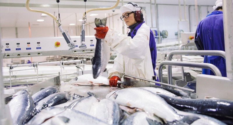 Vietnam, EFTA conclude free trade agreement negotiations