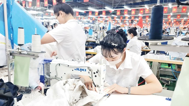 Awaited legal support for SMEs 