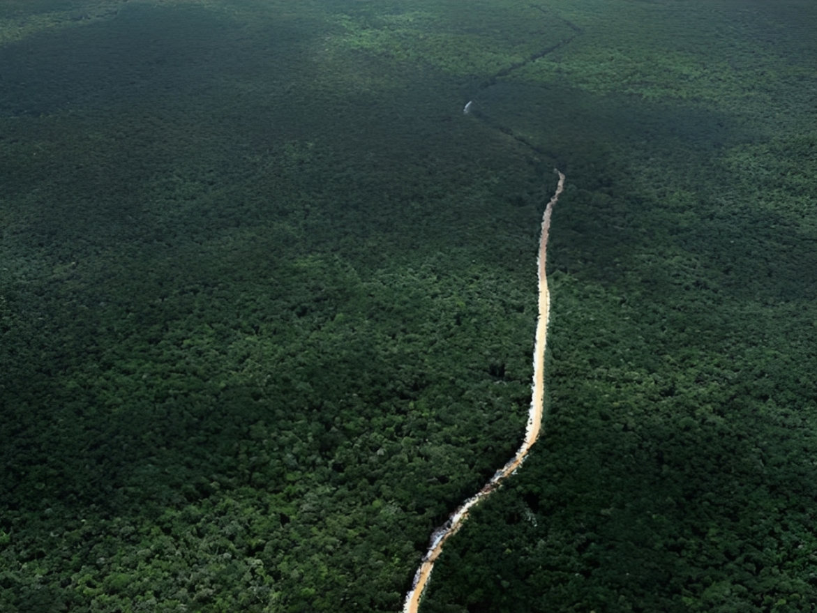 Sở hữu 18 triệu ha rừng với tỷ lệ che phủ thuộc nhóm cao nhất thế giới, Guyana đang tiên phong thương mại hóa tín chỉ carbon lãnh thổ, dùng nguồn thu này để tái đầu tư trực tiếp vào các dự án sinh kế cộng đồng và đa dạng hóa nền kinh tế