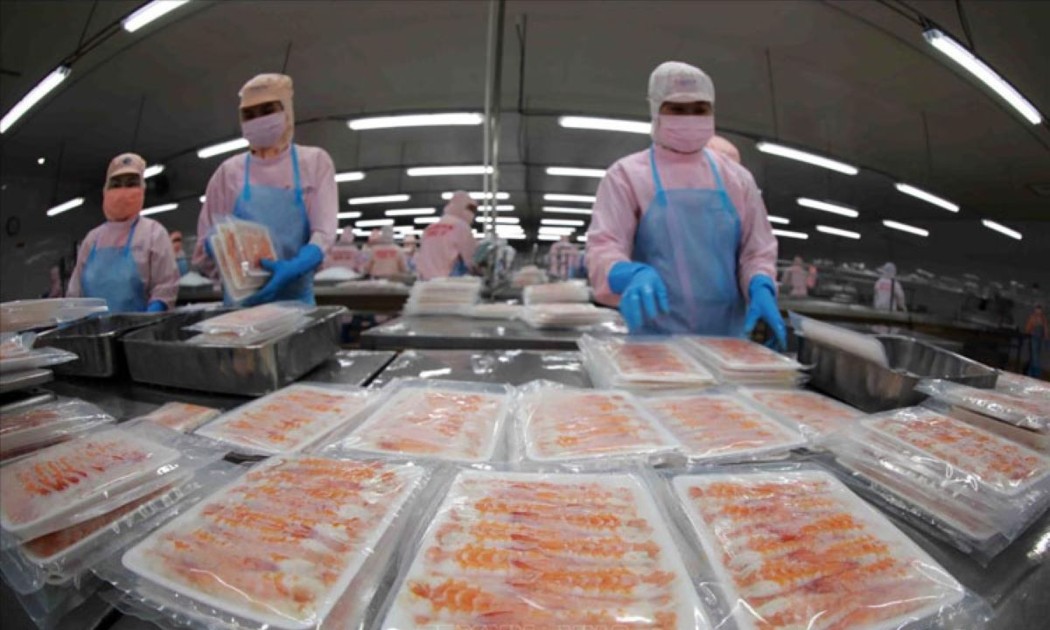 EFTA tăng thêm cơ hội cho xuất khẩu thuỷ sản.