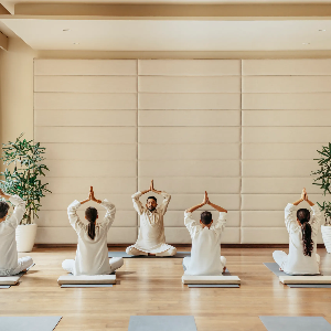 Nghiên cứu đã chỉ ra mối quan hệ trực tiếp giữa yoga, thiền định và sức khỏe đường ruột. Ảnh: Wiztrek