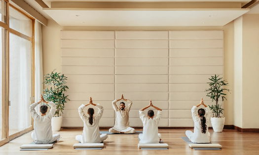Nghiên cứu đã chỉ ra mối quan hệ trực tiếp giữa yoga, thiền định và sức khỏe đường ruột. Ảnh: Wiztrek