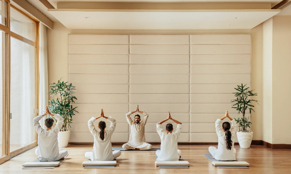 Mối quan hệ giữa Yoga, thiền định và sức khỏe đường ruột