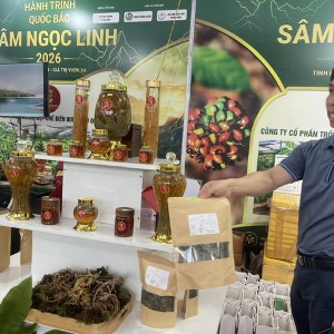 Giới thiệu các loại sản phẩm dược liệu bán ra thị trường được chế biến từ sâm Ngọc Linh và quế Trà My. Ảnh Ngô Anh Văn
