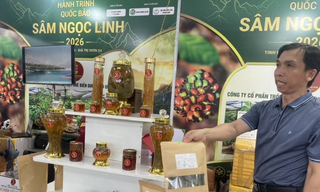 Giới thiệu các loại sản phẩm dược liệu bán ra thị trường được chế biến từ sâm Ngọc Linh và quế Trà My. Ảnh Ngô Anh Văn