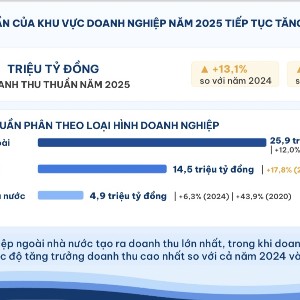 Xu hướng chuyển dịch rõ rệt giữa khu vực doanh nghiệp và kinh tế cá thể.
