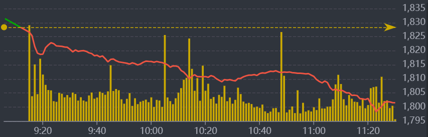 Diễn biến VN-Index sáng nay.