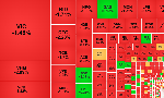 Đua cắt lỗ, thanh khoản cao nhất 20 phiên, VN-Index về sát 1800 điểm