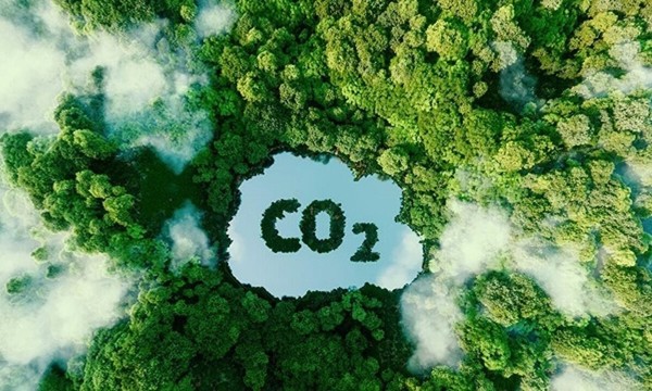 Xác định mức chi trả dịch vụ hấp thụ và lưu giữ carbon rừng