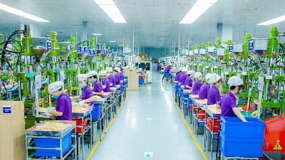 FDI drives Nghe An’s export growth 