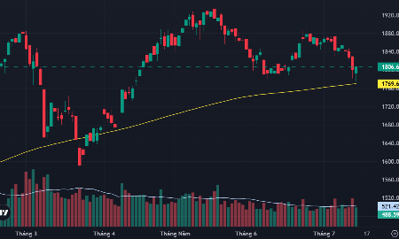 VN-Index và đường MA200 ngày.