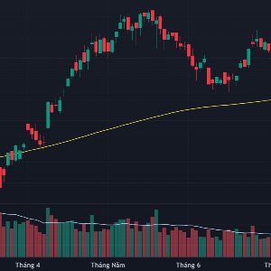 VN-Index và đường MA200 ngày.