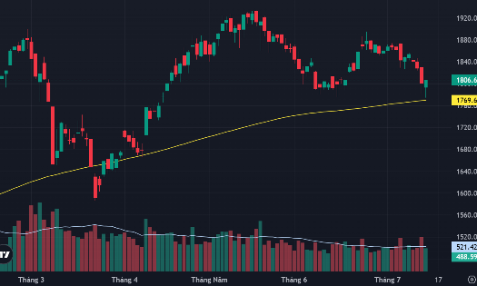 VN-Index và đường MA200 ngày.