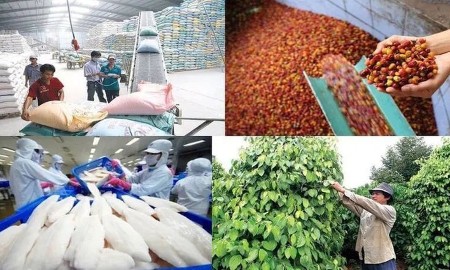 Mục tiêu xuất khẩu nông, lâm, thủy sản đạt 100 tỷ USD: Thước đo khả năng chuyển đổi sang mô hình tăng trưởng mới