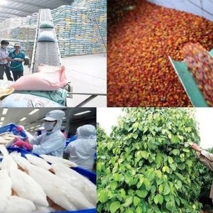 Mục tiêu xuất khẩu nông, lâm, thủy sản đạt 100 tỷ USD không chỉ đòi hỏi tăng kim ngạch, mà còn kiểm chứng khả năng chuyển các Nghị quyết về thể chế, công nghệ thành năng lực cạnh tranh. Ảnh: Chinhphu.vn