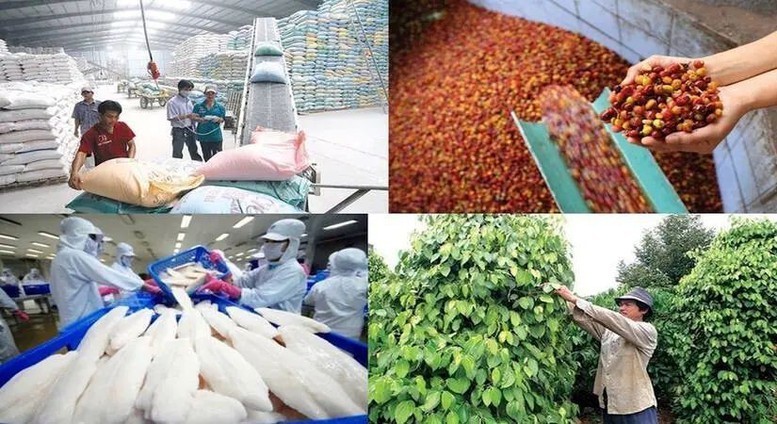 Mục tiêu xuất khẩu nông, lâm, thủy sản đạt 100 tỷ USD không chỉ đòi hỏi tăng kim ngạch, mà còn kiểm chứng khả năng chuyển các Nghị quyết về thể chế, công nghệ thành năng lực cạnh tranh. Ảnh: Chinhphu.vn