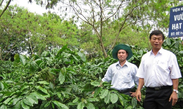 Xây dựng dữ liệu bản đồ đất rừng giúp nông sản đáp ứng EUDR