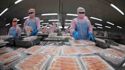 Vietnam sees growth potential for seafood exports to EFTA markets