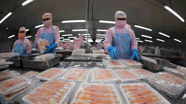 Vietnam sees growth potential for seafood exports to EFTA markets