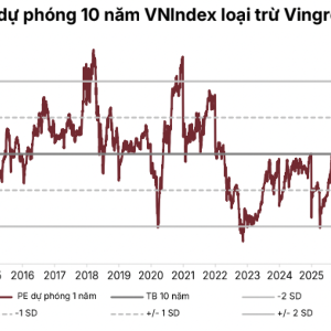 VnEconomy